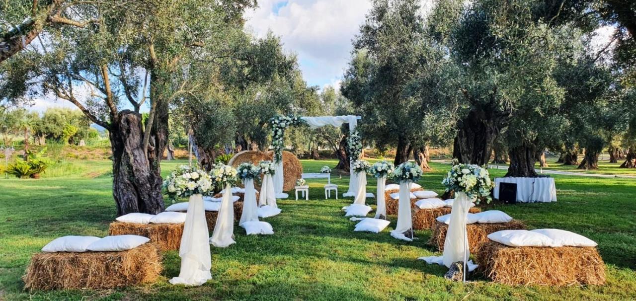 Uliveto Principessa Resort Cittanova  Kültér fotó