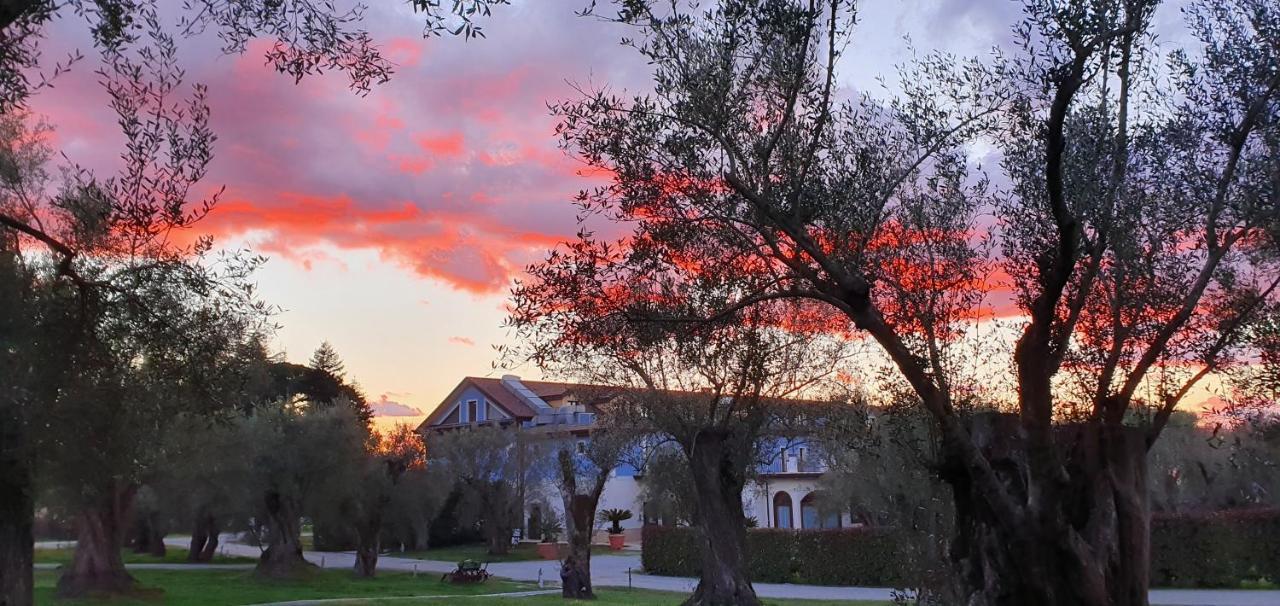 Uliveto Principessa Resort Cittanova  Kültér fotó
